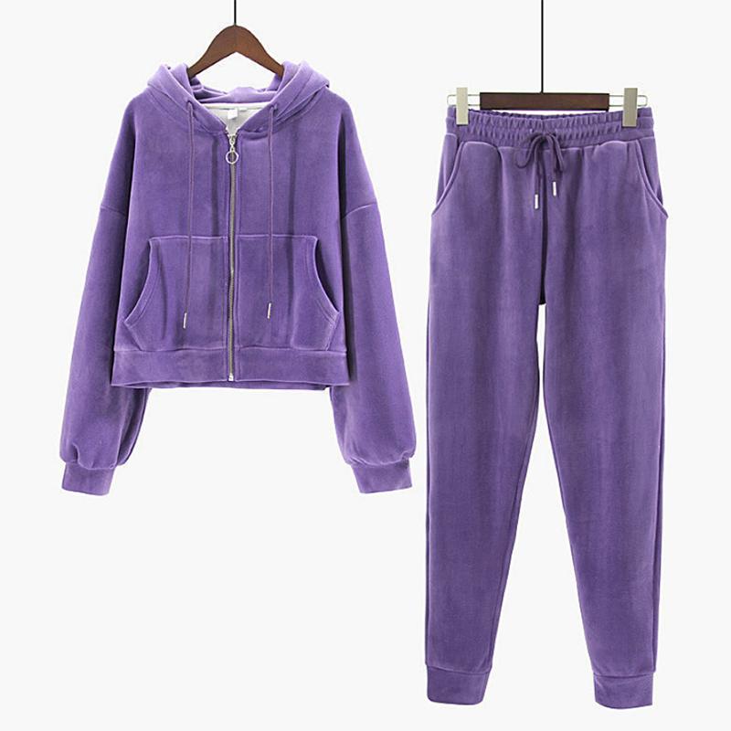 Zipper Hooded Jacket Sweater Women's Suit Spring and Autumn Plus Velvet Thickening Sports and Leisure Two-piece Trend