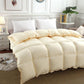 Winter White Goose Down Duvet Thickened Warmth Double Quilt Single Dormitory Quilt Large Soft and Comfortable Duvet