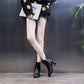 Autumn and Winter Martin Boots All-match Thick Heel Boots Plush High Heels