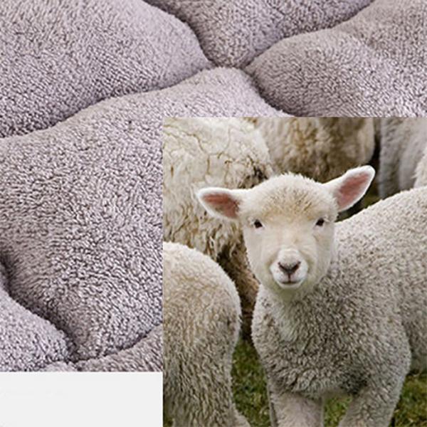 Thick Warm Lamb Velvet Mattress Student Dormitory Foldable Tatami Non-slip Bed Sleeping Mat Mattress