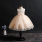 Girls' Costumes Children's Dresse Korean Dresses Flower Girls Tutu Skirts Mesh Princess Dresses