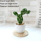 Fake Flower Creative Ornaments Simulation Flower Cactus Bonsai Simulation Succulents Dining Table Living Room Simulation Plant Potted Plants