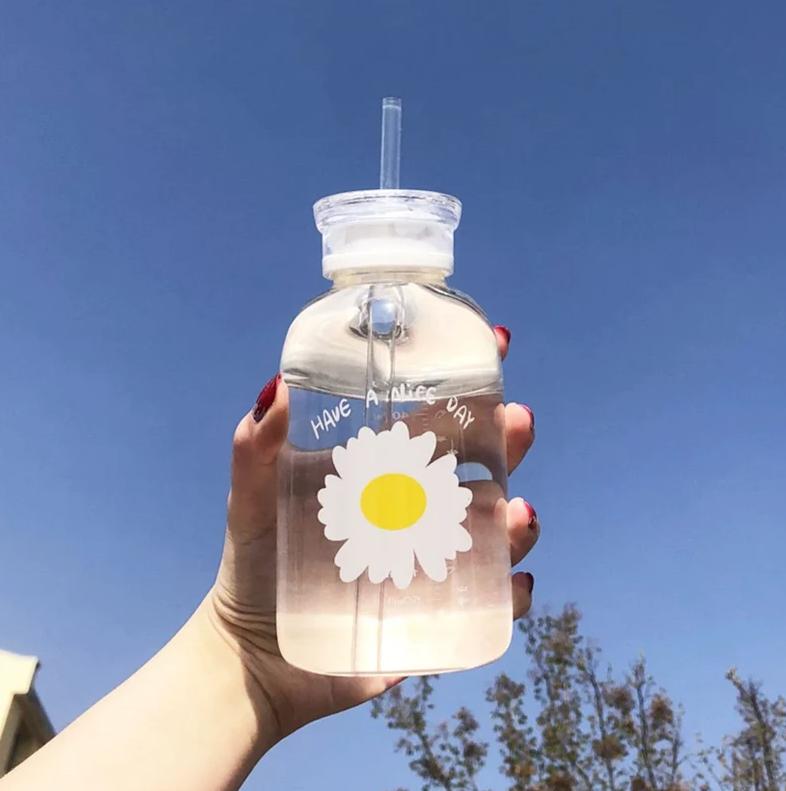 2 Lids Cute 500ml Daisy Clear / Frosted Borosilicate Glass Water Bottle | BPA FREE | High Quality Food Grade Material | Gifts for Her