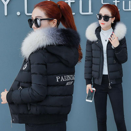Winter Fashion Trendy Gradient Color Fur Collar Down  Women Short Small Coat Thick Padded Jacket