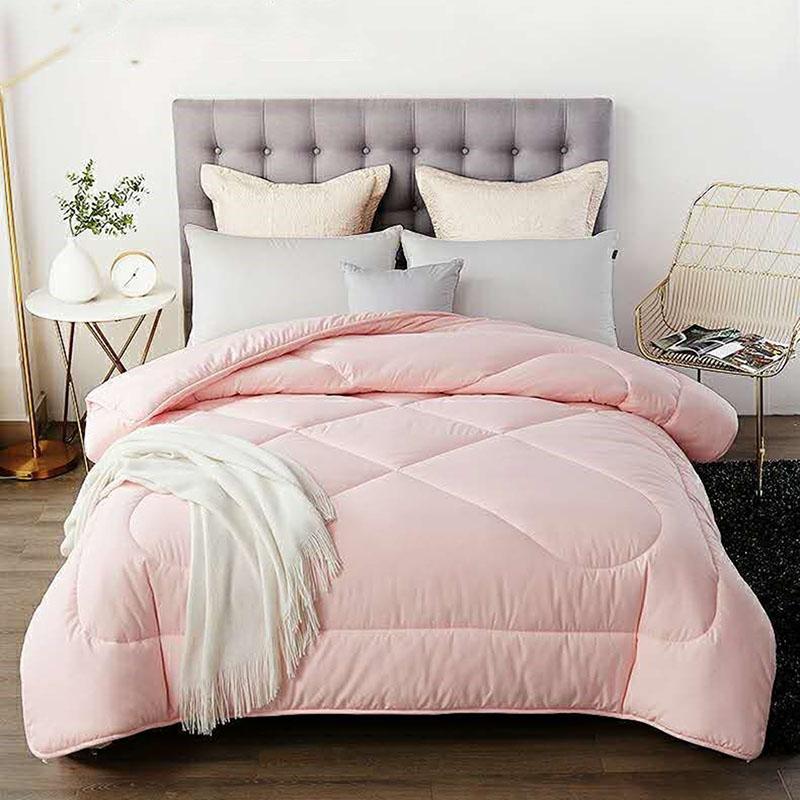 100% Genuine Thick Warm Silk Winter Quilt Double Thin Spring and Autumn Quilt Core Winter Student Mulberry Silk Quilt