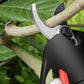 88VF Cordless Electric Pruning Shears Rechargeable Scissors Branch Scissors Handheld Garden Tools with Toolbox