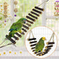 8 Pieces of Parrot Toy Swing Primary Color Wood Gnawing Molar Toy Bird Cage Pendant Supplies Climbing Ladder Rattan Ball