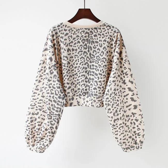 Women's Leopard Print Long Sleeve Sweater Autumn Korean Letter Print Loose Bottoming Shirt Short Round Neck Shirt
