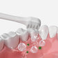 Children's Toothbrush  Soft Bristles 3-12 Years Old  Oral Cleansing  Toothbrush 2 Sets of Children's Toothbrushes