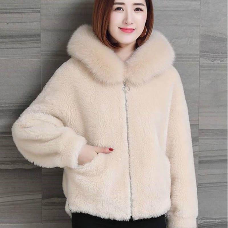 Fur Coat Women's Faux Sheep Shearing Hooded Women's Short Autumn and Winter Models of Fleece Fleece Coat