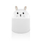 250ml Fat Mouse Indoor Air Humidifier Purifier Mute Aroma Diffuser Portable USB Electric Sprayer