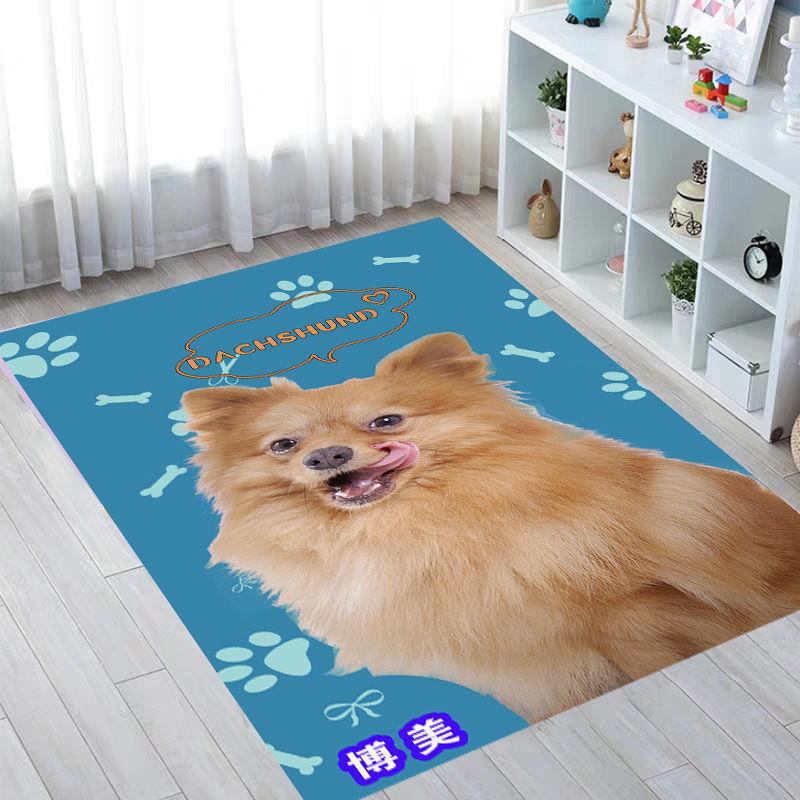 Pet Pad Dog Dog Cat Supplies Four Seasons Universal Bite Anti-slip Carpet Mat Pet Sleep Household Pad 50 * 80/60 * 90/100 * 120cm