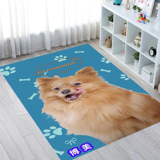 Pet Pad Dog Dog Cat Supplies Four Seasons Universal Bite Anti-slip Carpet Mat Pet Sleep Household Pad 50 * 80/60 * 90/100 * 120cm