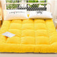 Winter Milk Velvet Mattress Household Sleeping Mat Bed Mattress Mat Double Dormitory Thickening Single Upholstery