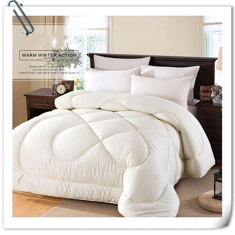 100% Genuine Thick Warm Silk Winter Quilt Double Thin Spring and Autumn Quilt Core Winter Student Mulberry Silk Quilt