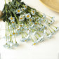 Artificial Flower Small Daisy Fake Flower Home Decoration Flower Silk Flower American Chamomile Dried Flower Countertop Display Bouquet Wildflower