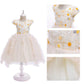 Girls' Dresses European American Children's Skirts Styles Children's Skirt Princess Tutu Dress
