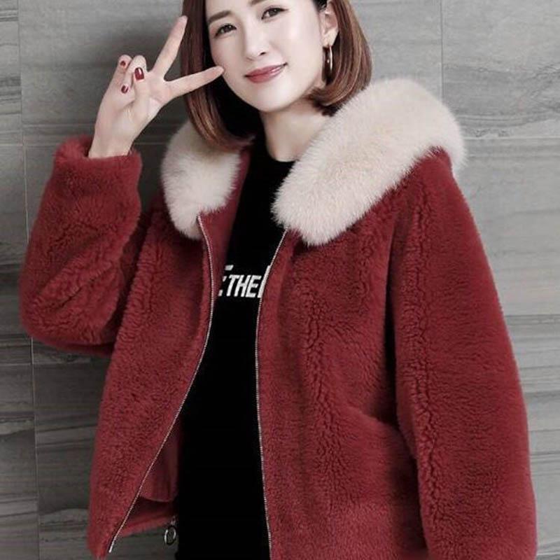 Fur Coat Women's Faux Sheep Shearing Hooded Women's Short Autumn and Winter Models of Fleece Fleece Coat