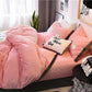 Winter Four-piece Set Double-sided Velvet Thick Short Plush Bed Linen Quilt Cover Coral Velvet 4-piece Set
