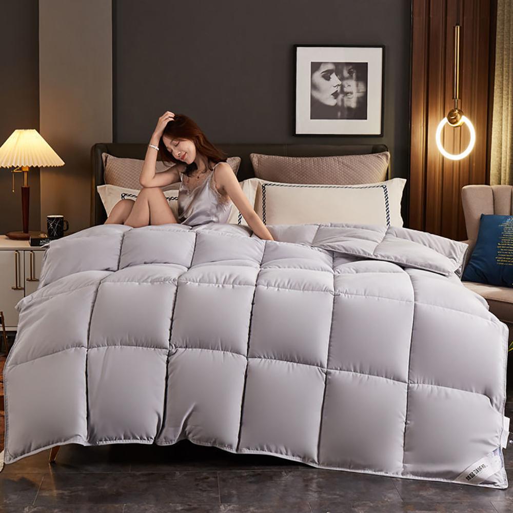 Winter Thick Warm Down Quilt Household Single Double White Goose Down Quilt Student Dormitory Four Seasons Universal Quilt