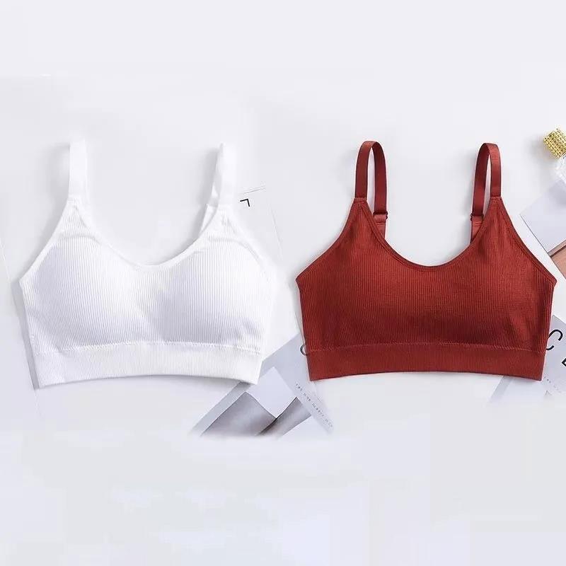 Two-piece Sports Beauty Back Tube Top No Steel Ring Camisole Gathered Anti-shrinking Wrap Chest Can Be Worn Outside Women's Underwear Bra