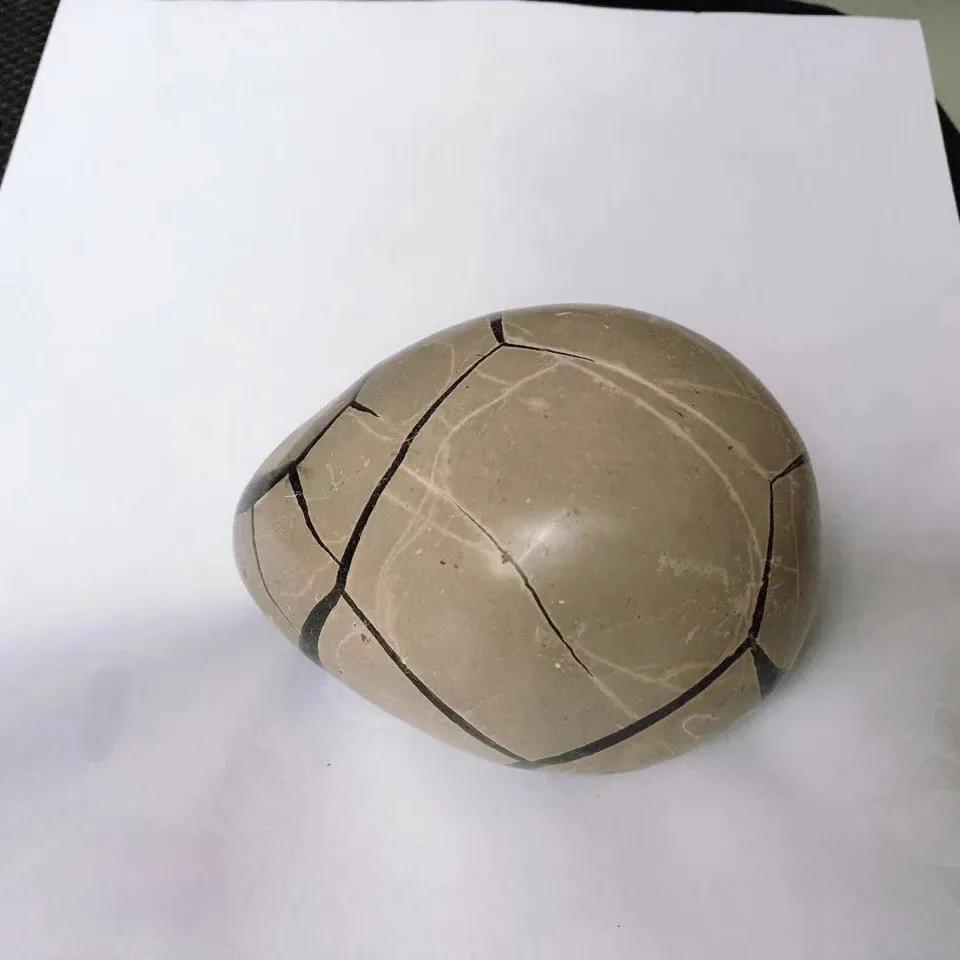 Large Septarian Nodule Natural Dragon Septarian Geode Quartz Egg Cluster Crystal  Healing Crystal Specimen 1pc
