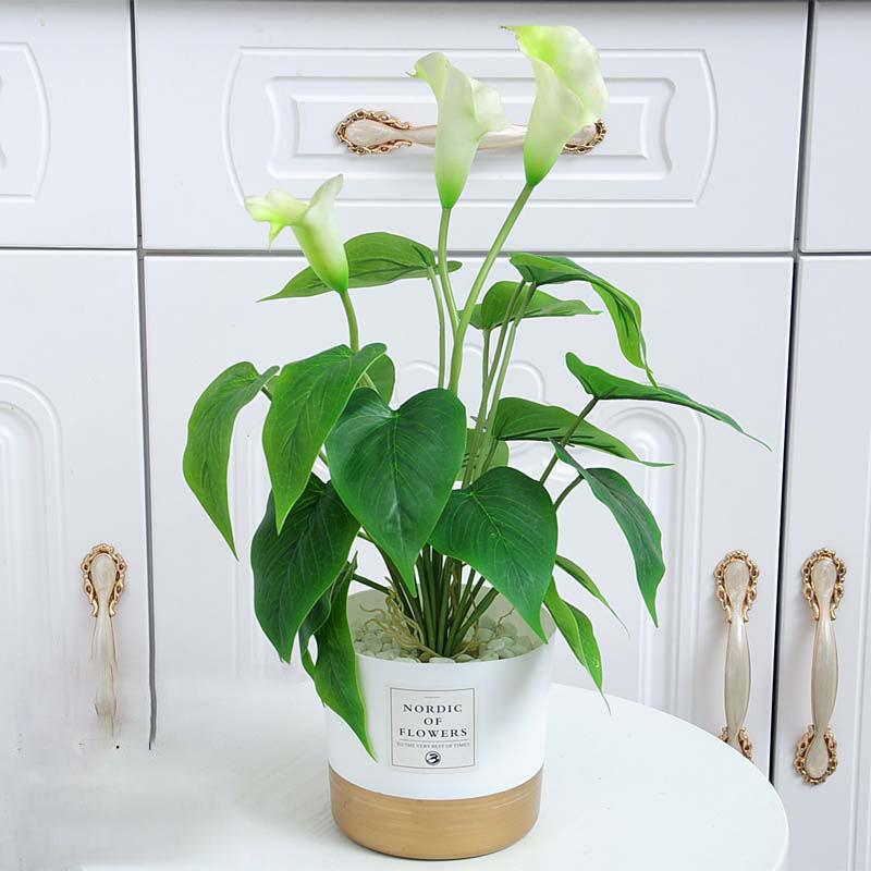 Nordic Wind Simulation Plant Bonsai Turtle Back Leaf Indoor Potted Desktop Artificial Flower Decoration Simulation Flower Green Plant Decoration