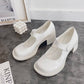 Single Shoes Women's Early Spring Retro Round Toe Thick Heel Mary Jane Shoes Female College Style Big Toe Shoes