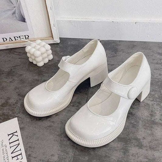 Single Shoes Women's Early Spring Retro Round Toe Thick Heel Mary Jane Shoes Female College Style Big Toe Shoes