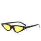 Small Triangle Cat Eye Sunglasses Women Fashion Vintage Cat Eyeglasses Female 2019 Stylish Sun Glass