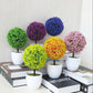 Home Garden Decor Fashion Multicolor Artificial Plastic Plant Bonsai