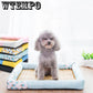 Detachable Pet Bed cool Dog House Soft Cat Sofas Warm Puppy Kennel Medium Pet Ken Four Seasons