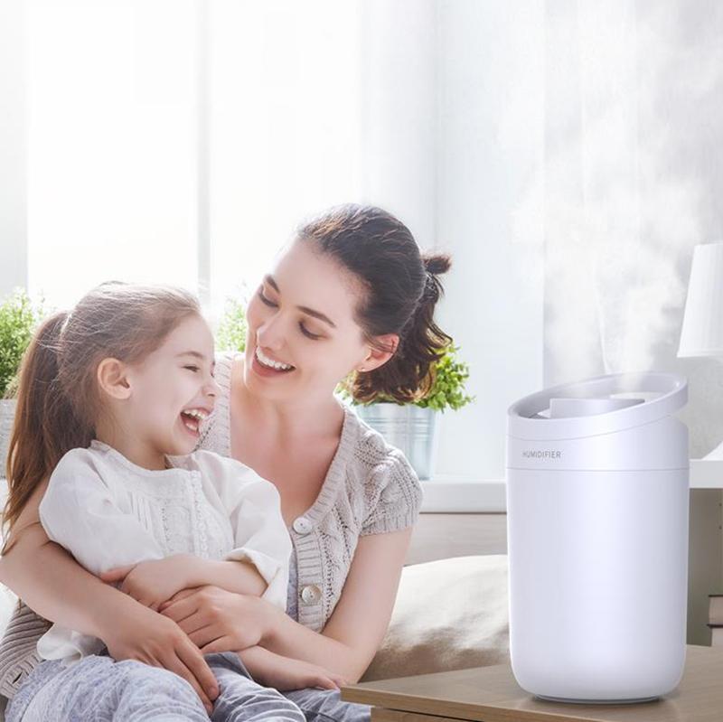 3000ml Double Nozzle Indoor Air Humidifier USB Electric Sprayer Mute Aroma Diffuser Night Light 24h