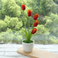 Fake Flower Tulip Bonsai Simulation Flower Creative Home Interior Dining Table Living Room Decoration Simulation Plant Artificial Flower