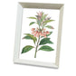 Framed Cross Stitch DIY Hand-woven Thread Embroidery Simple Modern Flower Simple Embroidery Living Room Bedroom Decoration