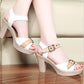 Ladies Roman Fish Mouth With Thick Heel Sandals Buckle High Heel Wild Sandals