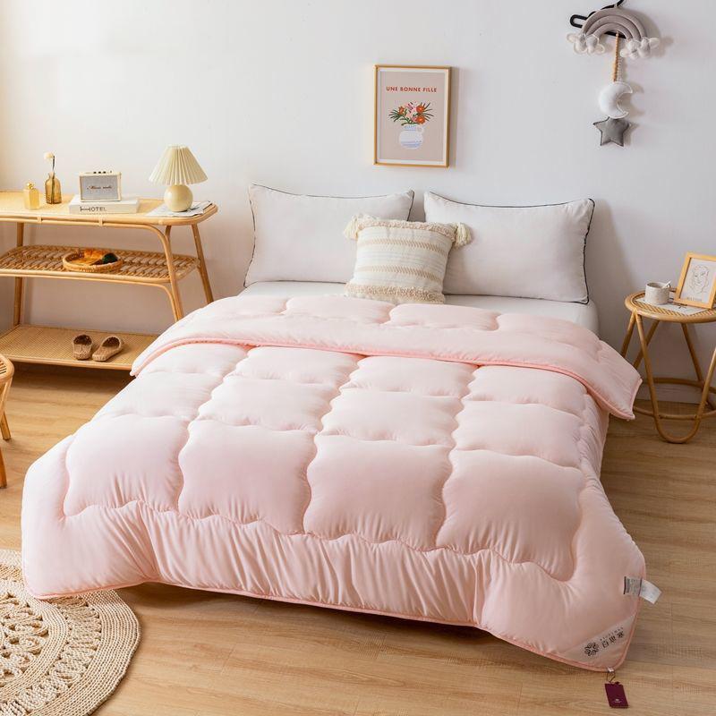Home Thick Warm Quilt Four Seasons Student Futon Spring and Autumn Quilt Bedding Summer Cool Air Conditioning Quilt