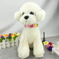 Pet Cat Cat Collar Cute Flowers Teddy Dog Collar Puppies Collar Kittens Neckwear Adjustable Collar Pet Dog's Cat's Neckerchief Dog Leash Collar