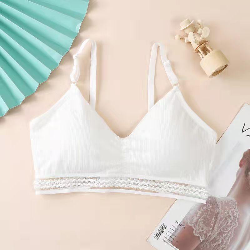 Spring and Summer Thin Ice Silk Lace Sexy No Steel Ring Wrapped Chest Beautiful Back Gathered Bottoming Women's Underwear Bra