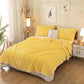 Beibei Fleece Blanket Flannel Coral Fleece Blanket Siesta Quilt Winter Plus Velvet Thick Warm Sheets