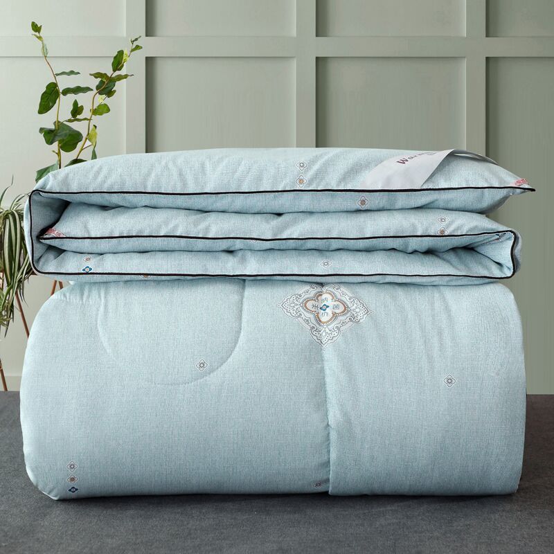 High-end Printed Silk Quilt Large Soft and Comfortable Quilt Core Antibacterial Four Seasons Quilt