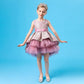Lace Embroidery Formal Sleeveless Wedding Gown Tutu Princess Dress Flower Girls Children Clothing Kids Party for Girl Clothes