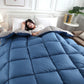 Winter White Goose Down Duvet Thickened Warmth Double Quilt Single Dormitory Quilt Large Soft and Comfortable Duvet