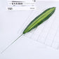 Simulation Green Plant Turtle Back Leaf Brazil Leaf Oak Leaf Decoration Landscaping Holiday Setting with Leaf Ornaments
