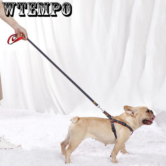 Dog leash dog leash dog chain small and medium dog collar Teddy hyena rope cat rope pet dog supplies