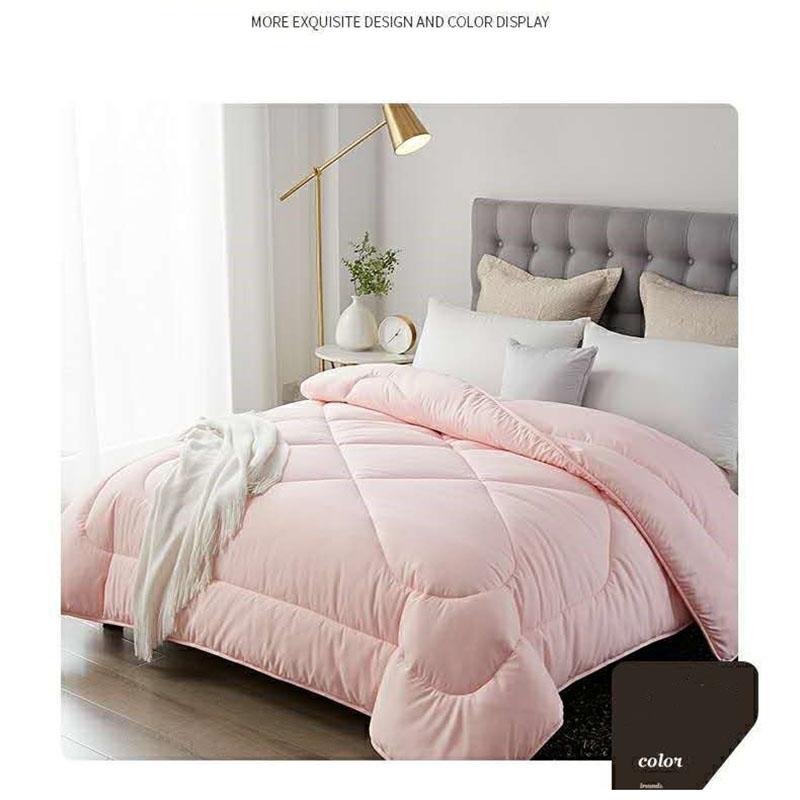 100% Genuine Thick Warm Silk Winter Quilt Double Thin Spring and Autumn Quilt Core Winter Student Mulberry Silk Quilt