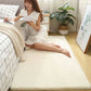 Thicken Encrypted Rabbit Fur Carpet for Bedroom Living Room Home Simple Room Mat