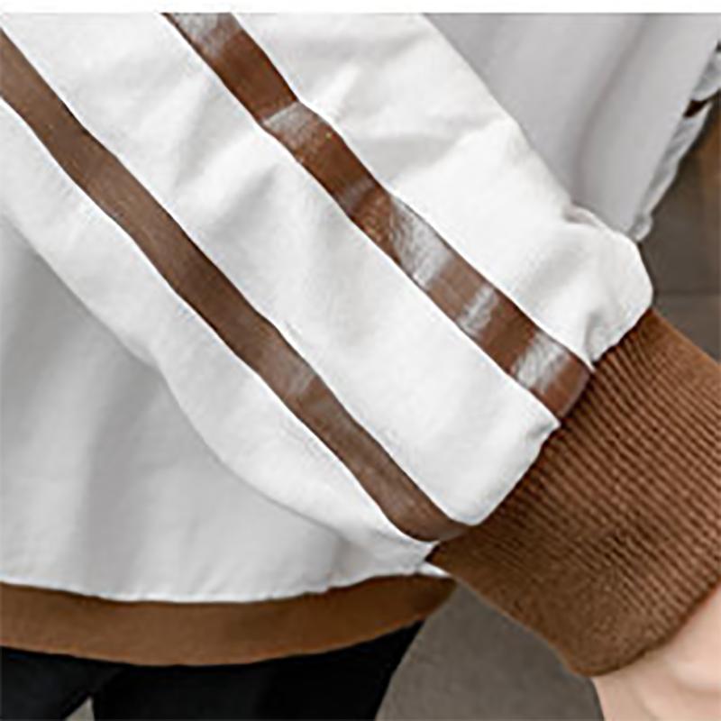 Autumn and Winter Cotton Sweater Men's Korean Loose Sweater Trend Plus Fleece Top Clothes Sweatshirts