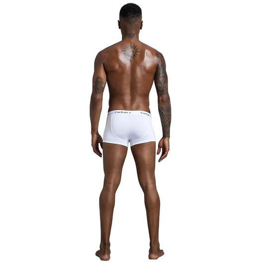 High-grade Cotton Men's Underwear Cotton Breathable Summer Thin Model Large Size Men's Shorts Flat Leggings