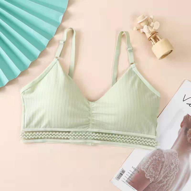 Spring and Summer Thin Ice Silk Lace Sexy No Steel Ring Wrapped Chest Beautiful Back Gathered Bottoming Women's Underwear Bra